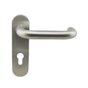 SP09 Series Modern Door Handles With Backplate 168*44mm